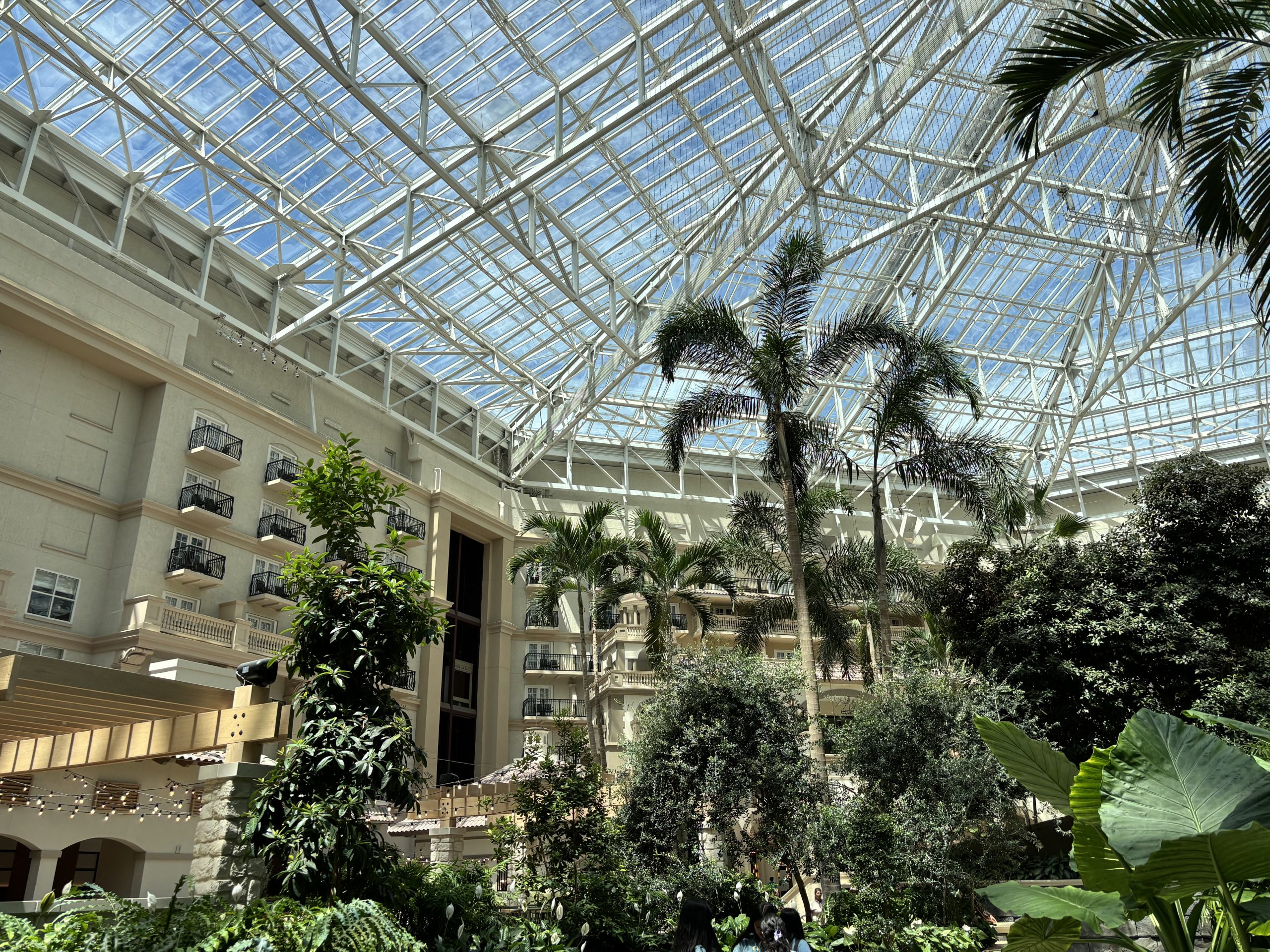 Gaylord Palms Resort & Convention Center interior with skylight windows and indoor palm trees