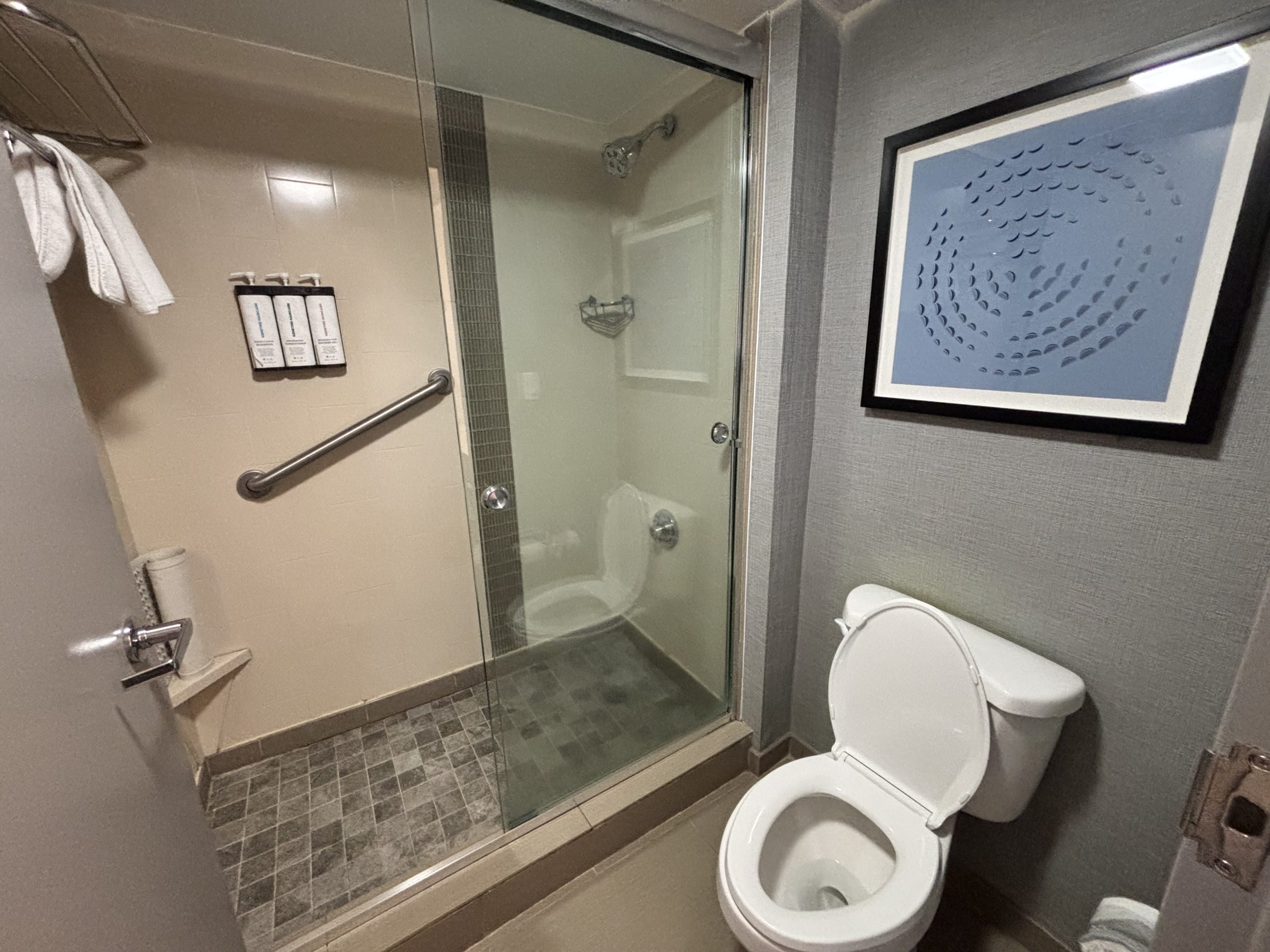 Hyatt Select Bathroom