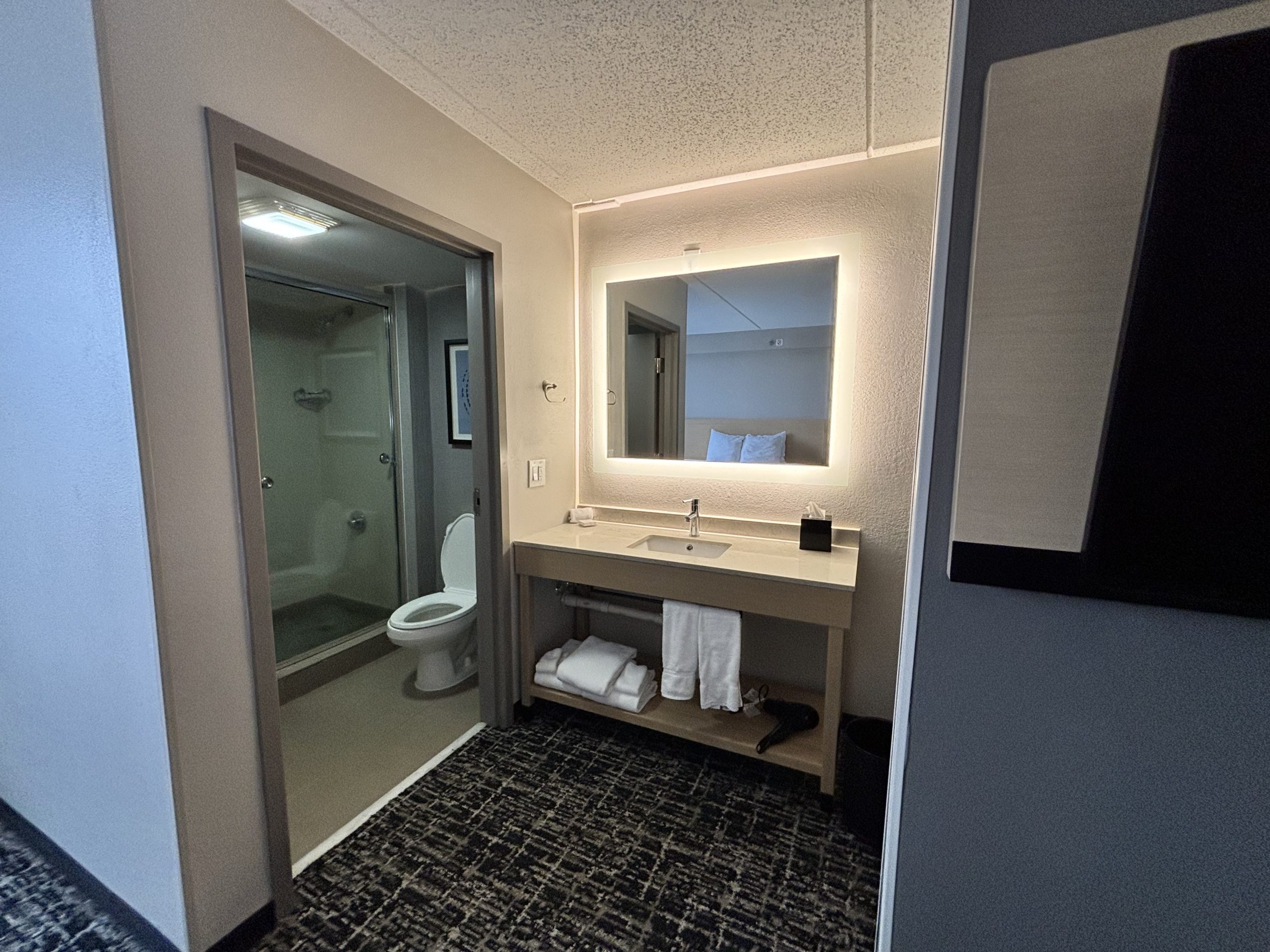 Hyatt Select Vanity and Bathroom