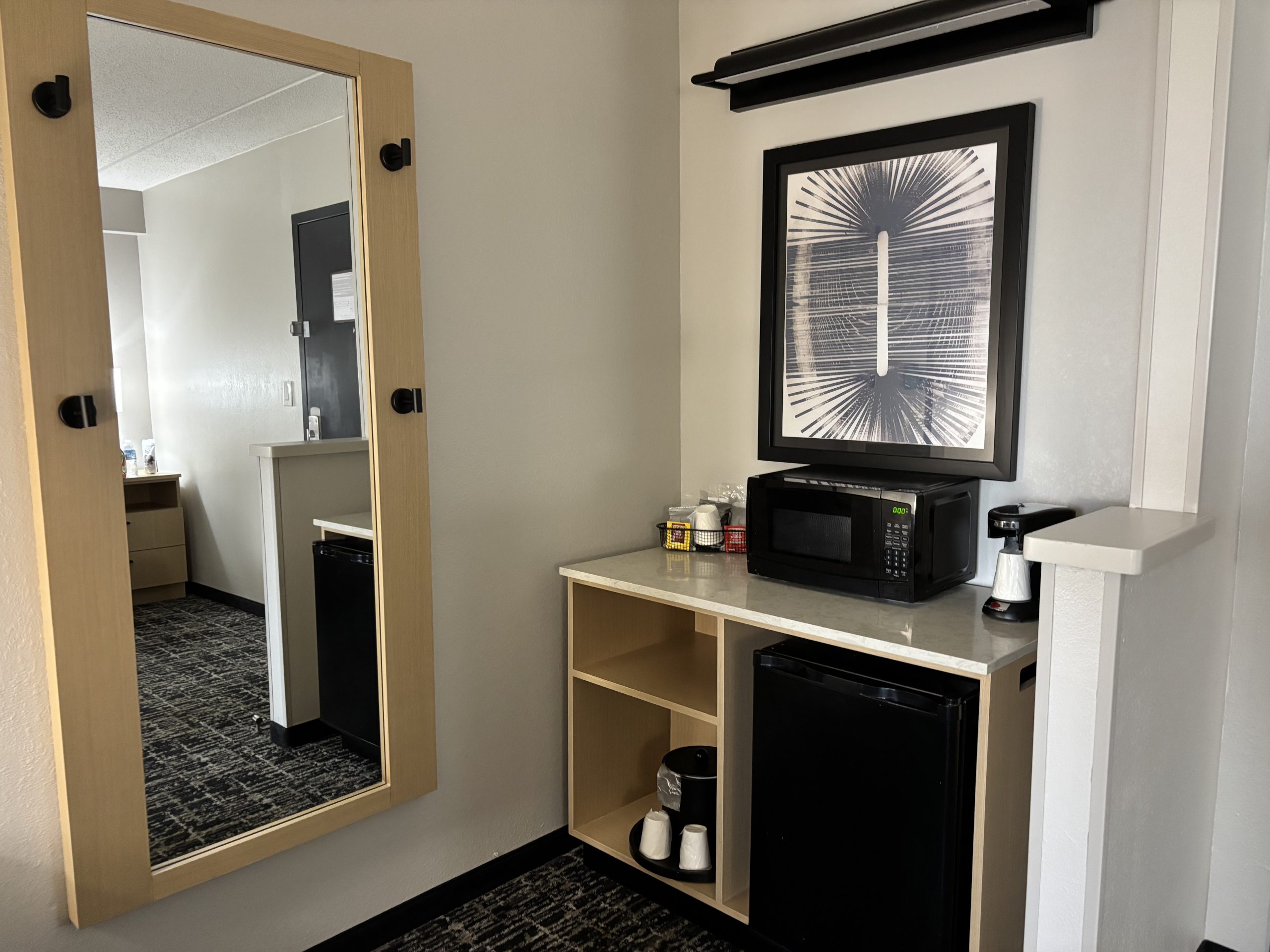 Hyatt Select Fridge Area